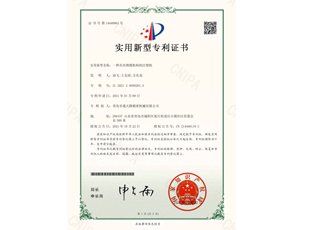 实用新型专利授权,ZL2021 2 0050261.X